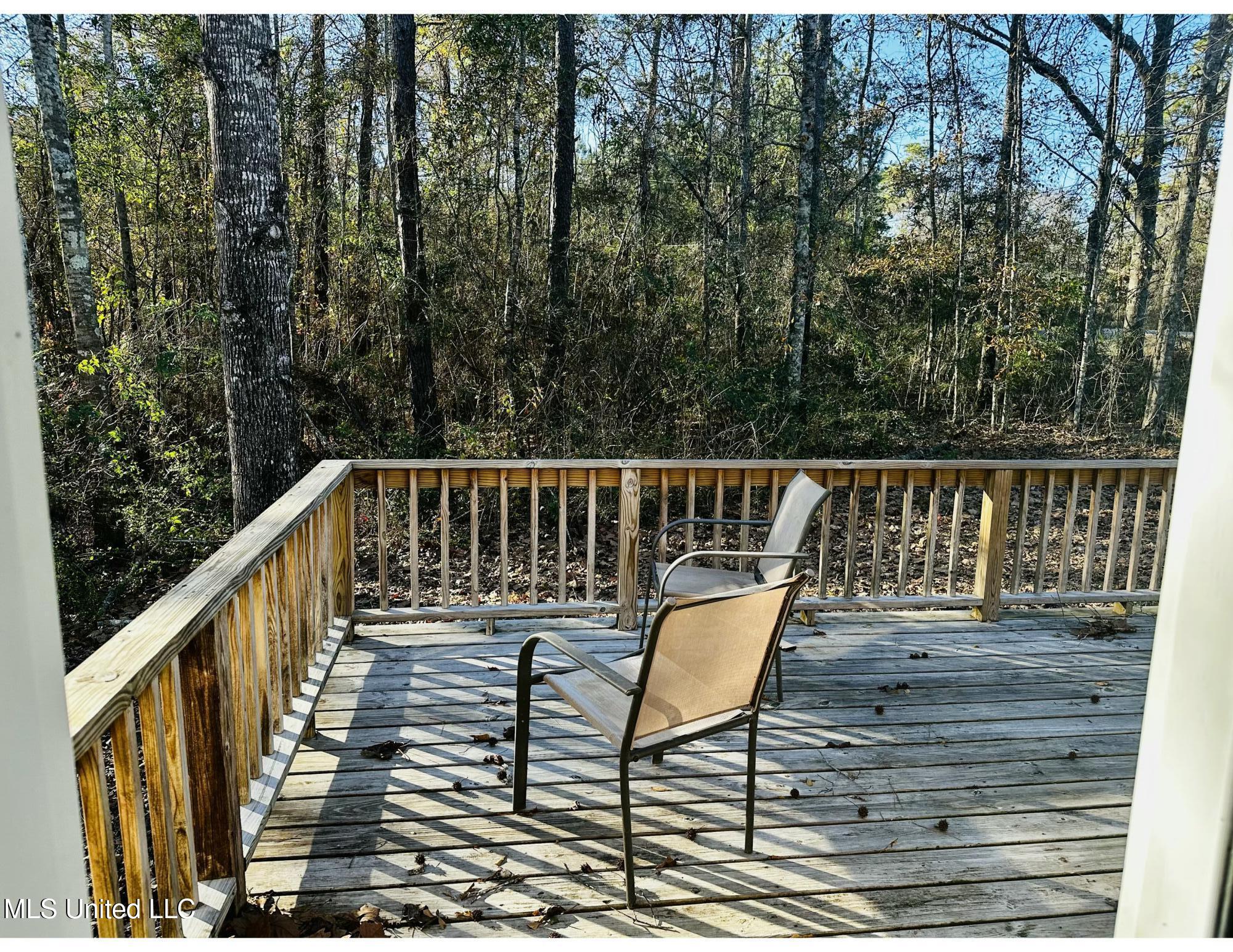 126 West Union Road Carriere, MS 39426 - Photo 5 of 17 Back Deck