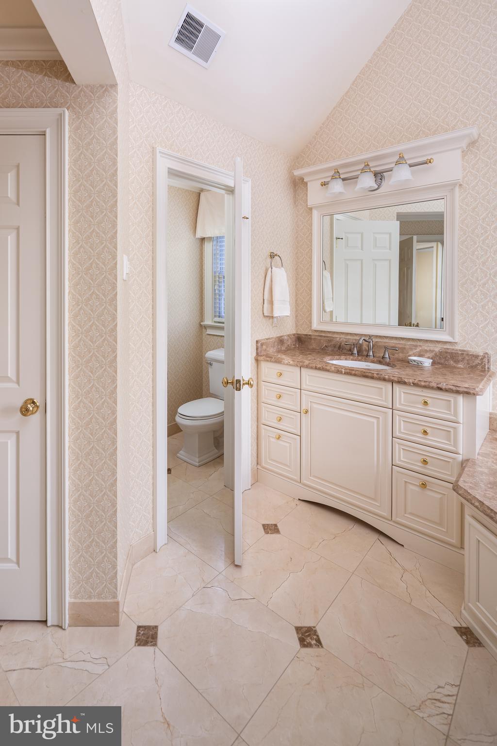 152 Grubb Road Malvern, PA 19355 - Photo 45 of 74 a spacious bathroom with a granite countertop sink a toilet and a mirror