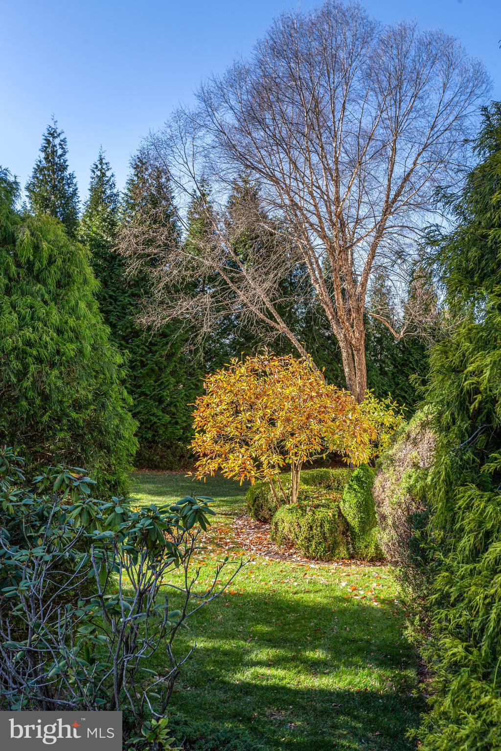 152 Grubb Road Malvern, PA 19355 - Photo 72 of 74 a backyard of a house with lots of green space