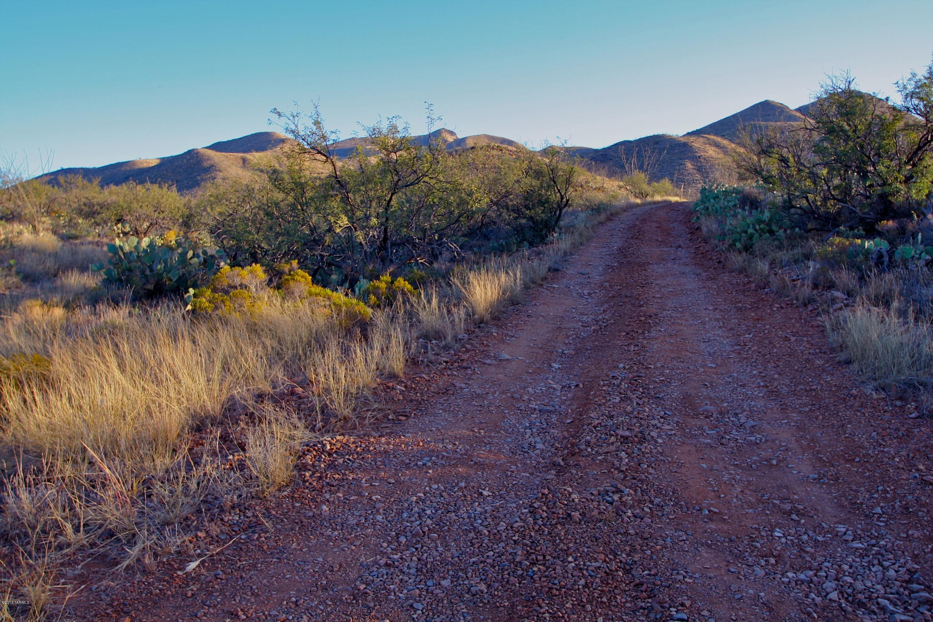 South Little Fawn Vail, AZ 85641 - Photo 12 of 12
