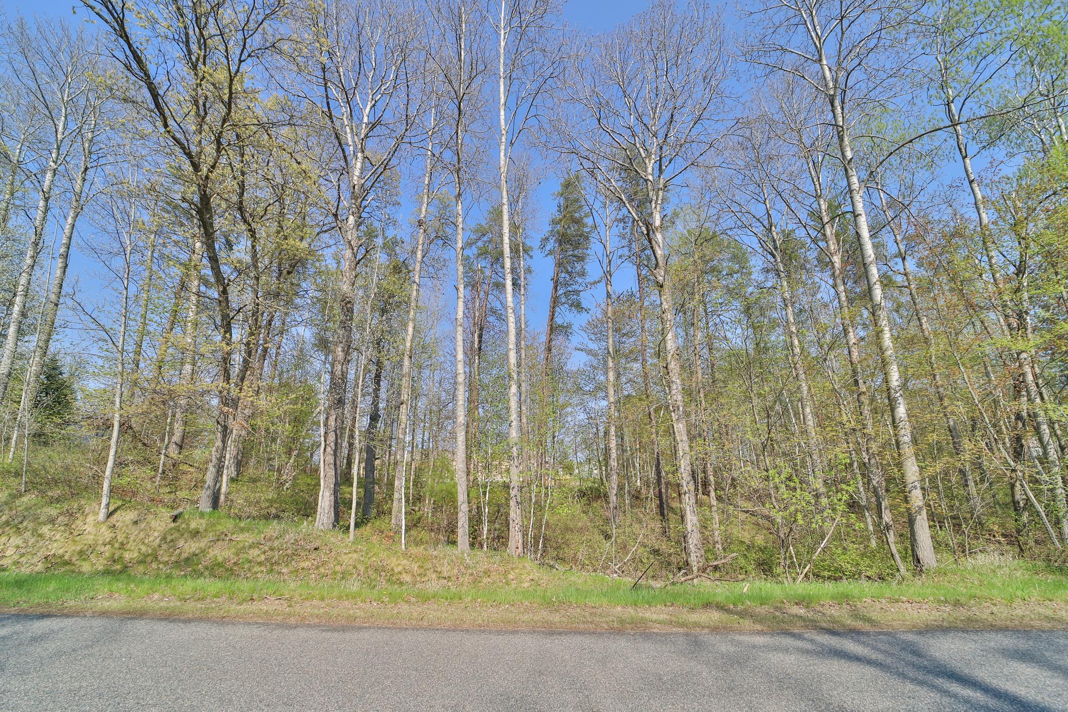 Lot 5-6 & 7 Terminal Road Breezy Point, MN 56472 - Photo 7 of 9