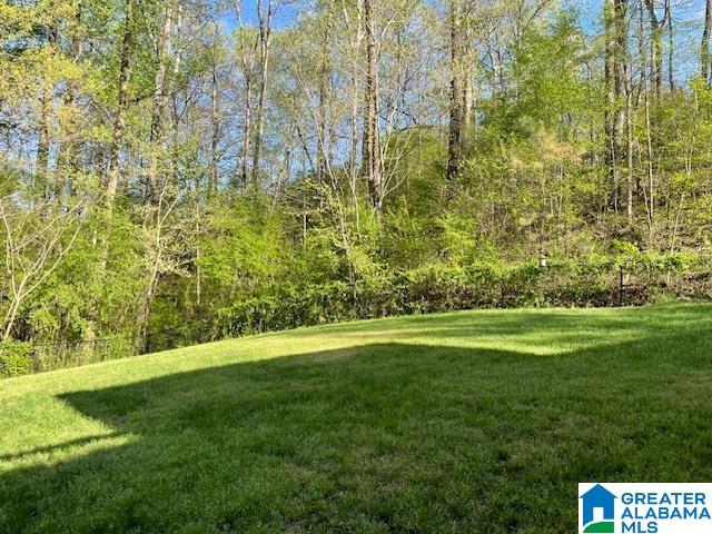 77 Mountain Lake Road Warrior, AL 35180 - Photo 18 of 18