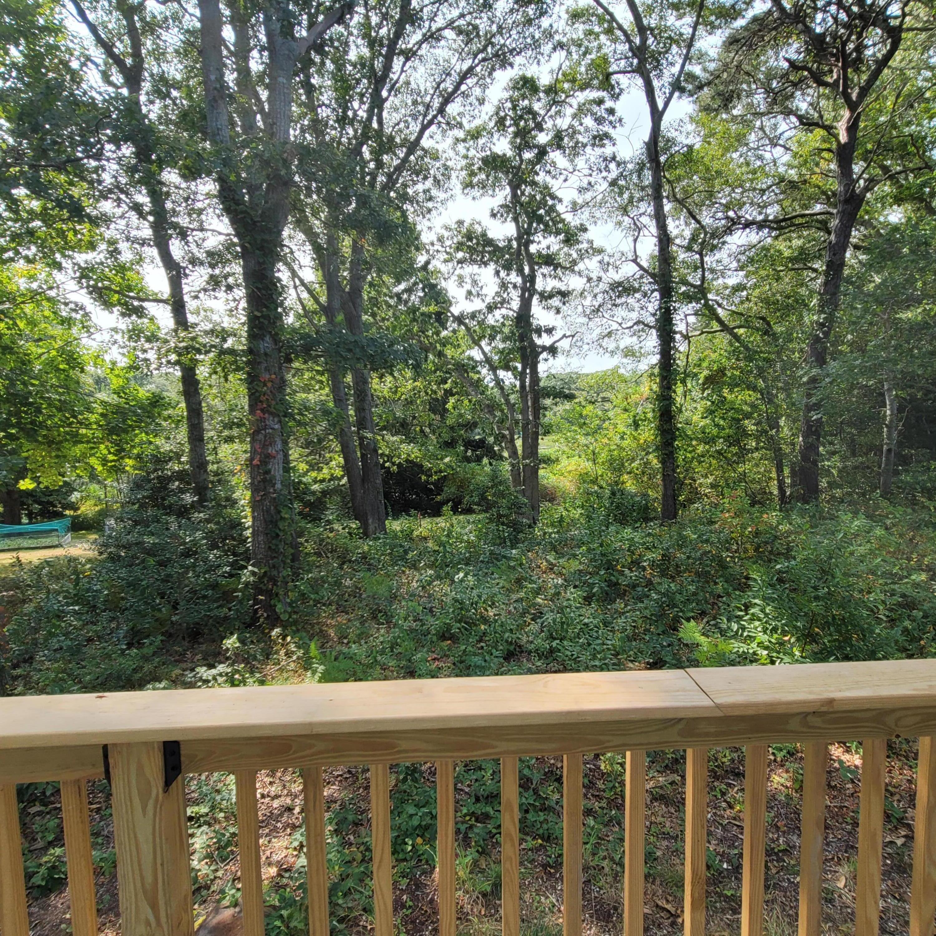 73 Suomi Road Hyannis, MA 02601 - Photo 13 of 13 a view of a forest from a balcony