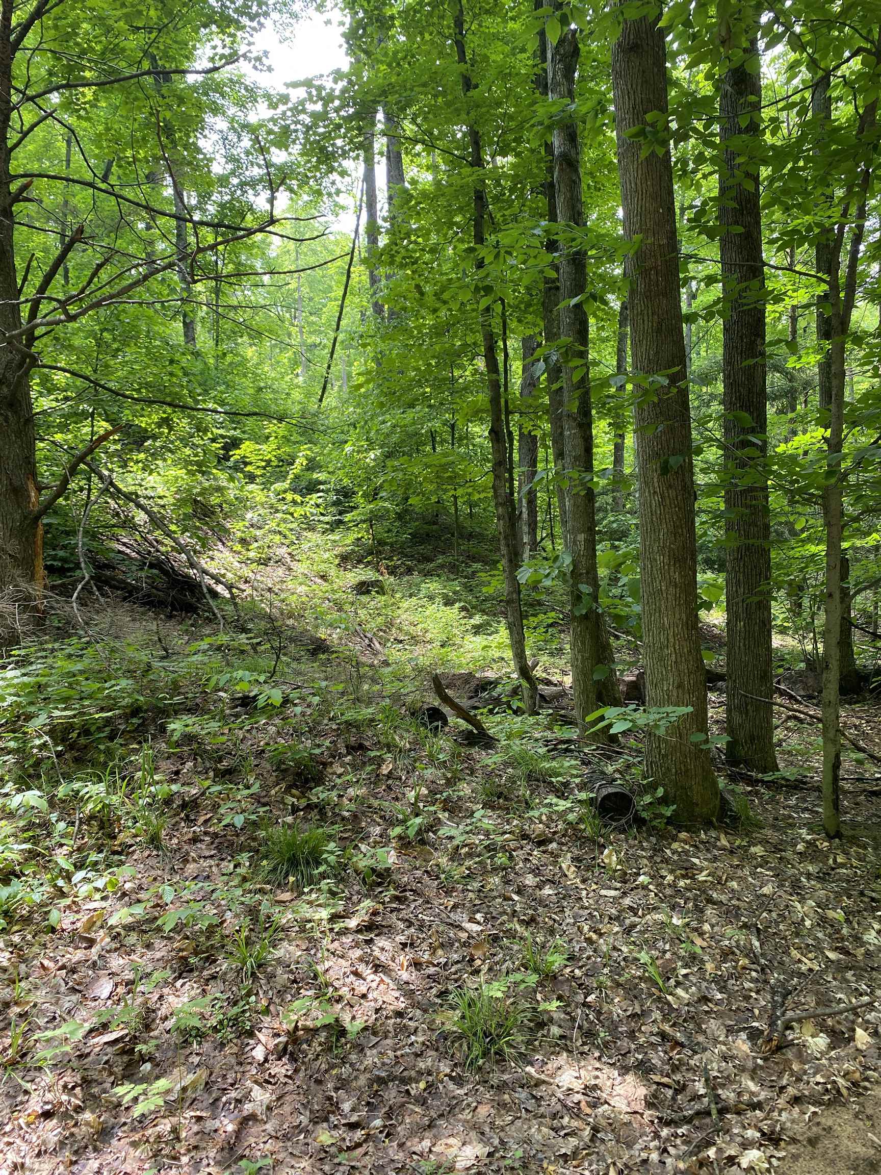 3 Stark Road, Unit LOT: 3 Mancelona, MI 49659 - Photo 9 of 26