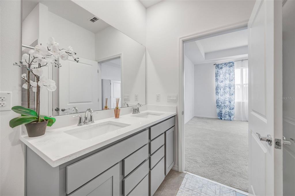 2555 Bending Bonsai Drive Wesley Chapel, FL 33543 - Photo 11 of 59 a bathroom with a sink double vanity and a mirror