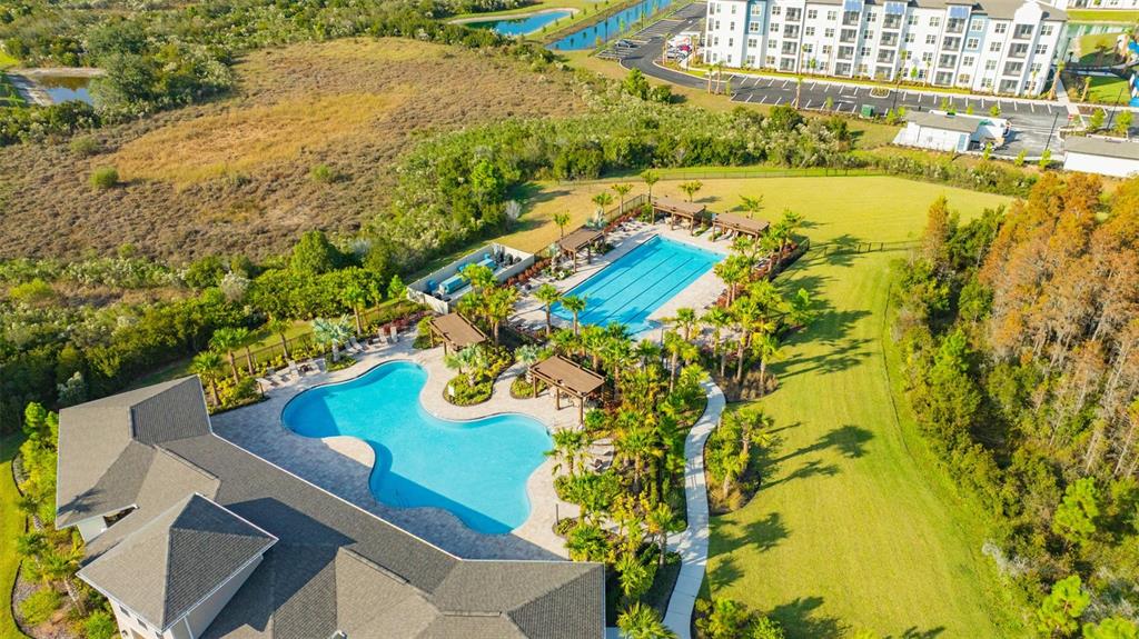 2555 Bending Bonsai Drive Wesley Chapel, FL 33543 - Photo 4 of 59 an aerial view of residential houses with swimming pool