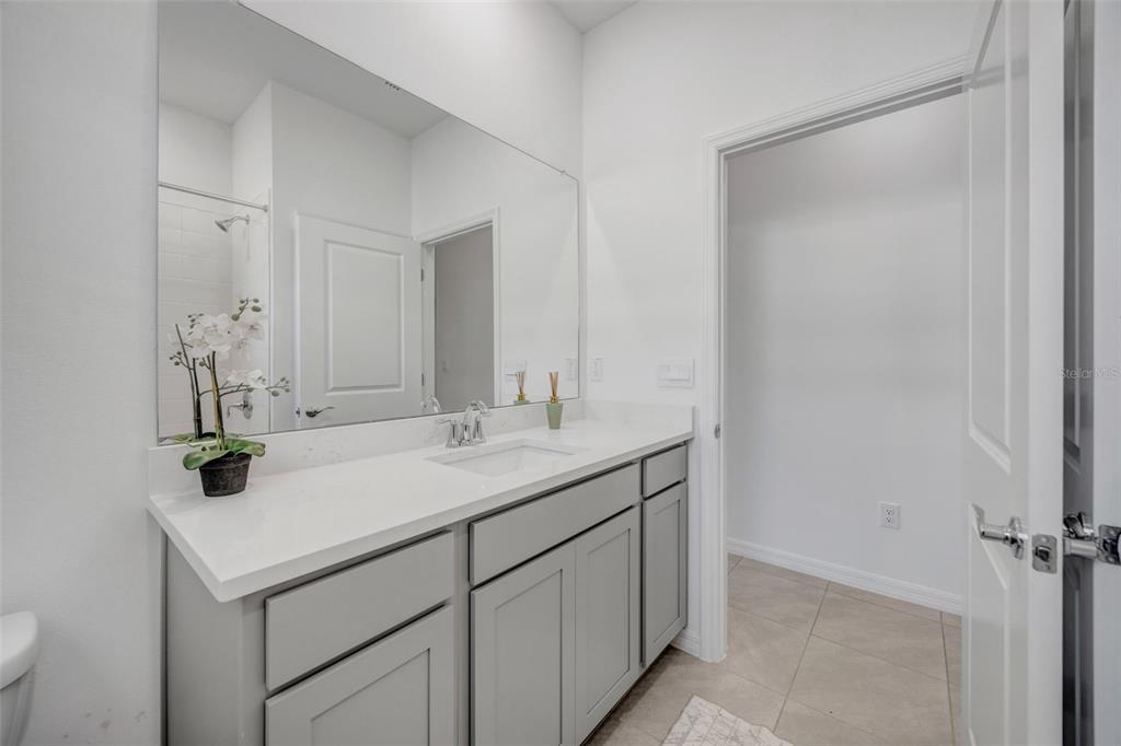 2555 Bending Bonsai Drive Wesley Chapel, FL 33543 - Photo 47 of 59 a bathroom with a sink and a mirror