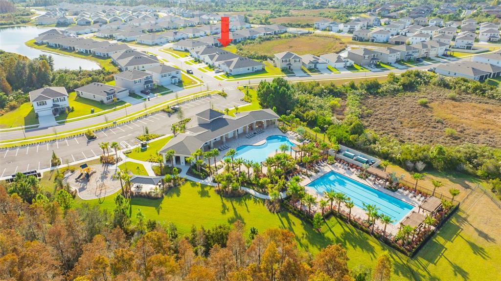 2555 Bending Bonsai Drive Wesley Chapel, FL 33543 - Photo 5 of 59 a view of swimming pool with a yard and plants