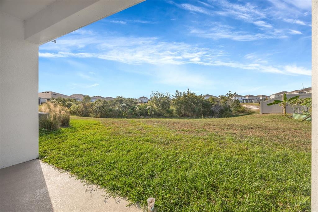 2555 Bending Bonsai Drive Wesley Chapel, FL 33543 - Photo 53 of 59 a view of lake and mountain