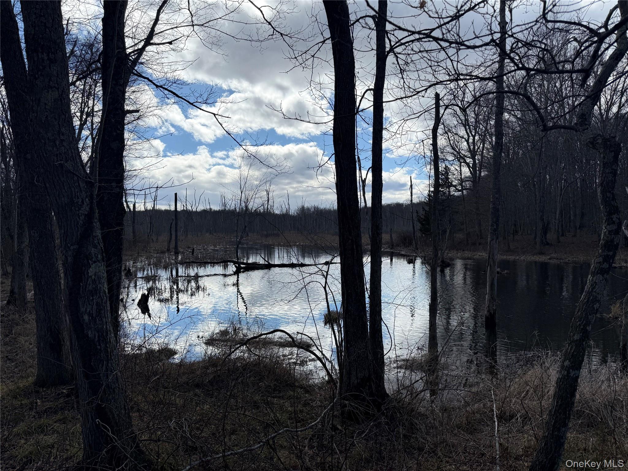 Collabar Road Montgomery, NY 12549 - Photo 3 of 3 a water view of water with a tree