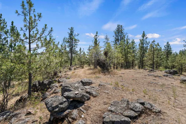 $724,995 | 20902 South Ritchey Road, Cheney, WA 99004