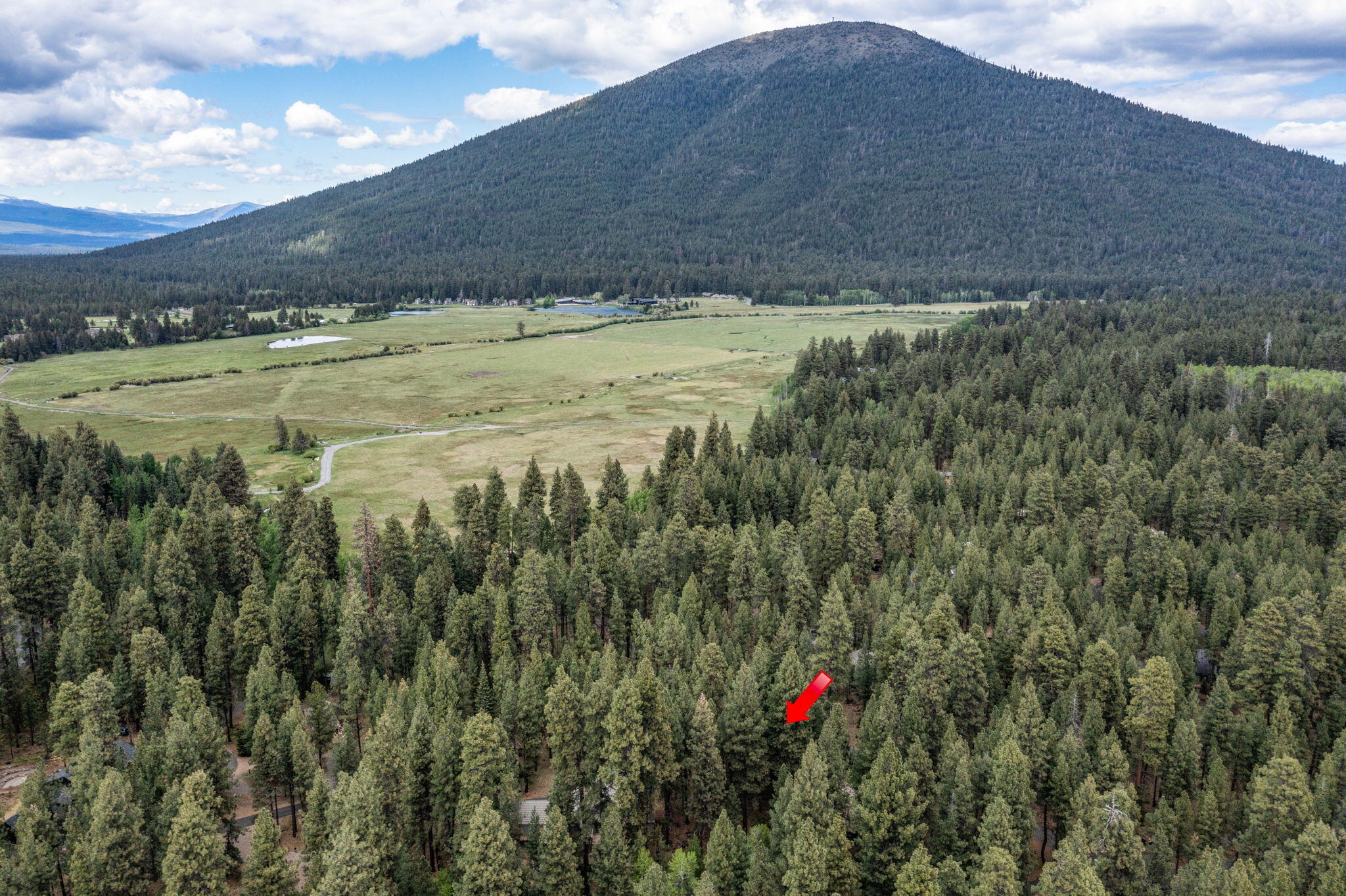 Undisclosed Address Black Butte Ranch, OR 97759 - Photo 22 of 24 a view of a yard with wooden fence