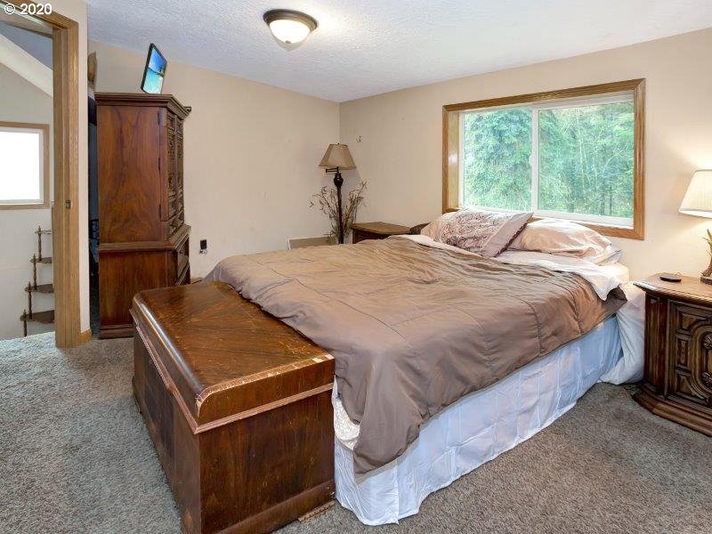 41811 Northeast Cedar Ridge Road Amboy, WA 98601 - Photo 20 of 25 Gallery Image 20