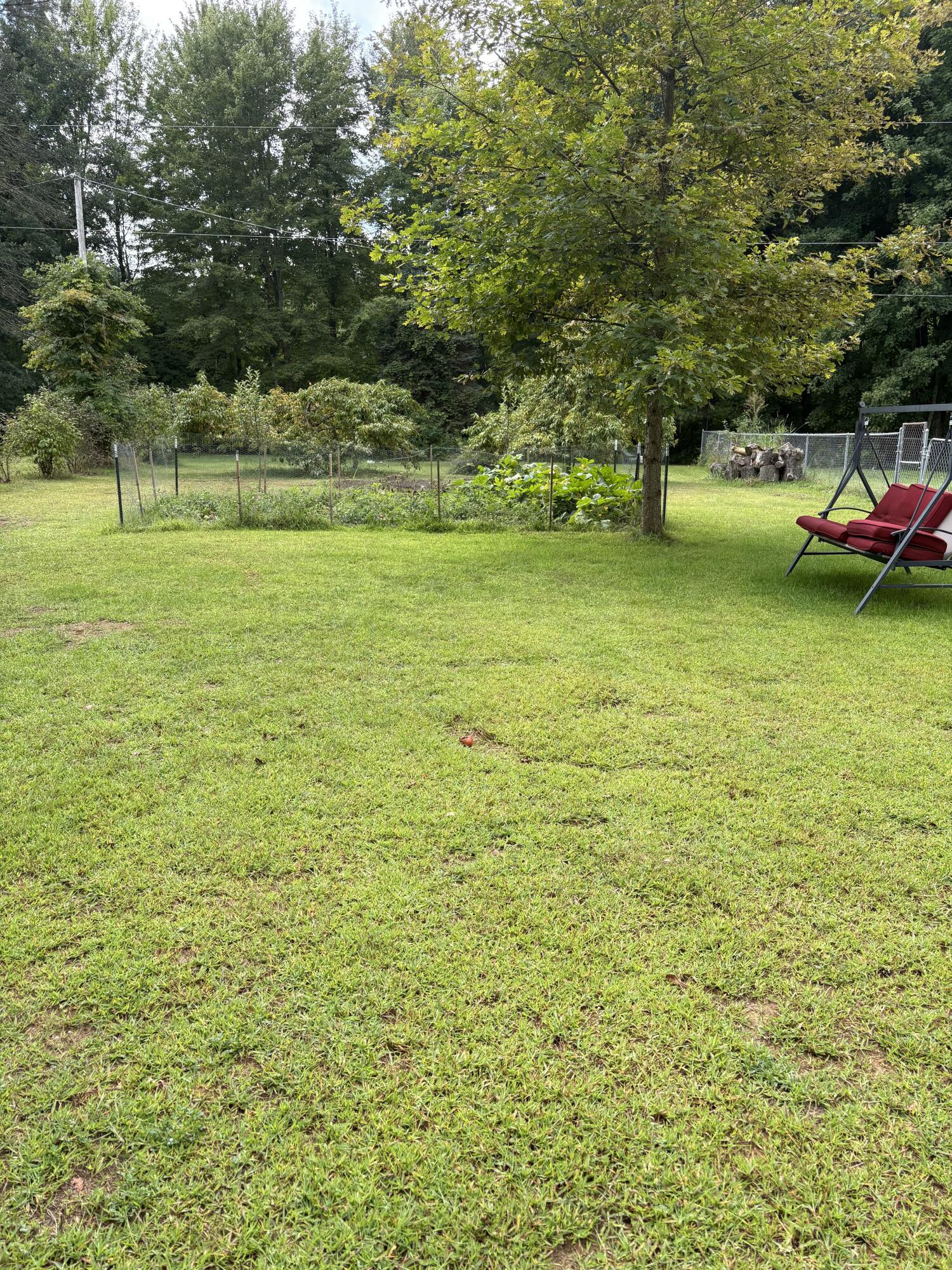 4539 West Saginaw Road Vassar, MI 48768 - Photo 11 of 25 IMG_6171