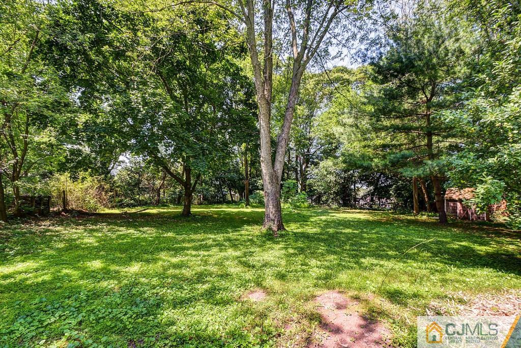 85 Kendall Road Kendall Park, NJ 08824 - Photo 23 of 25 a view of a trees in a yard
