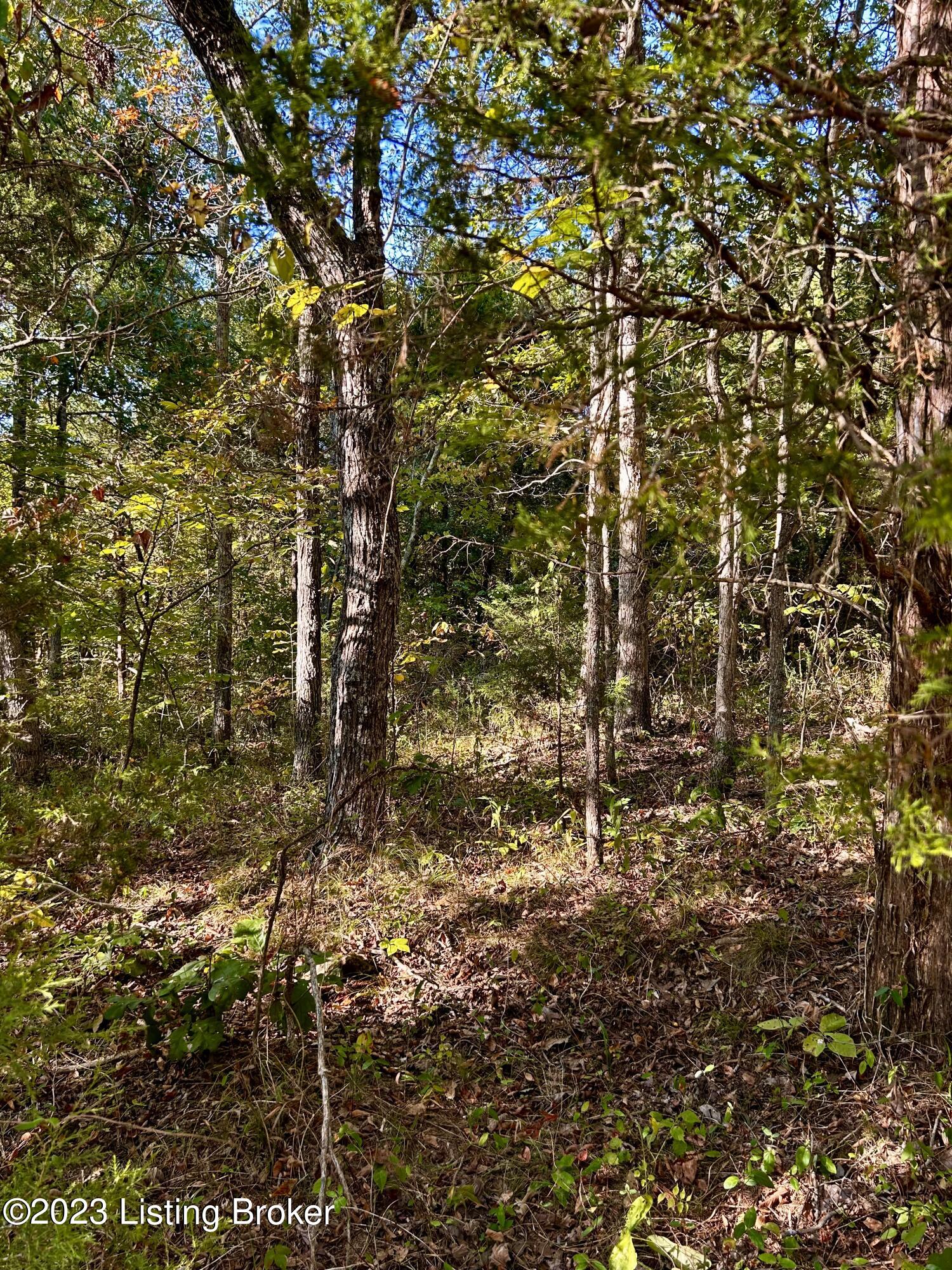 2295 Greer Road Payneville, KY 40157 - Photo 9 of 9 outside