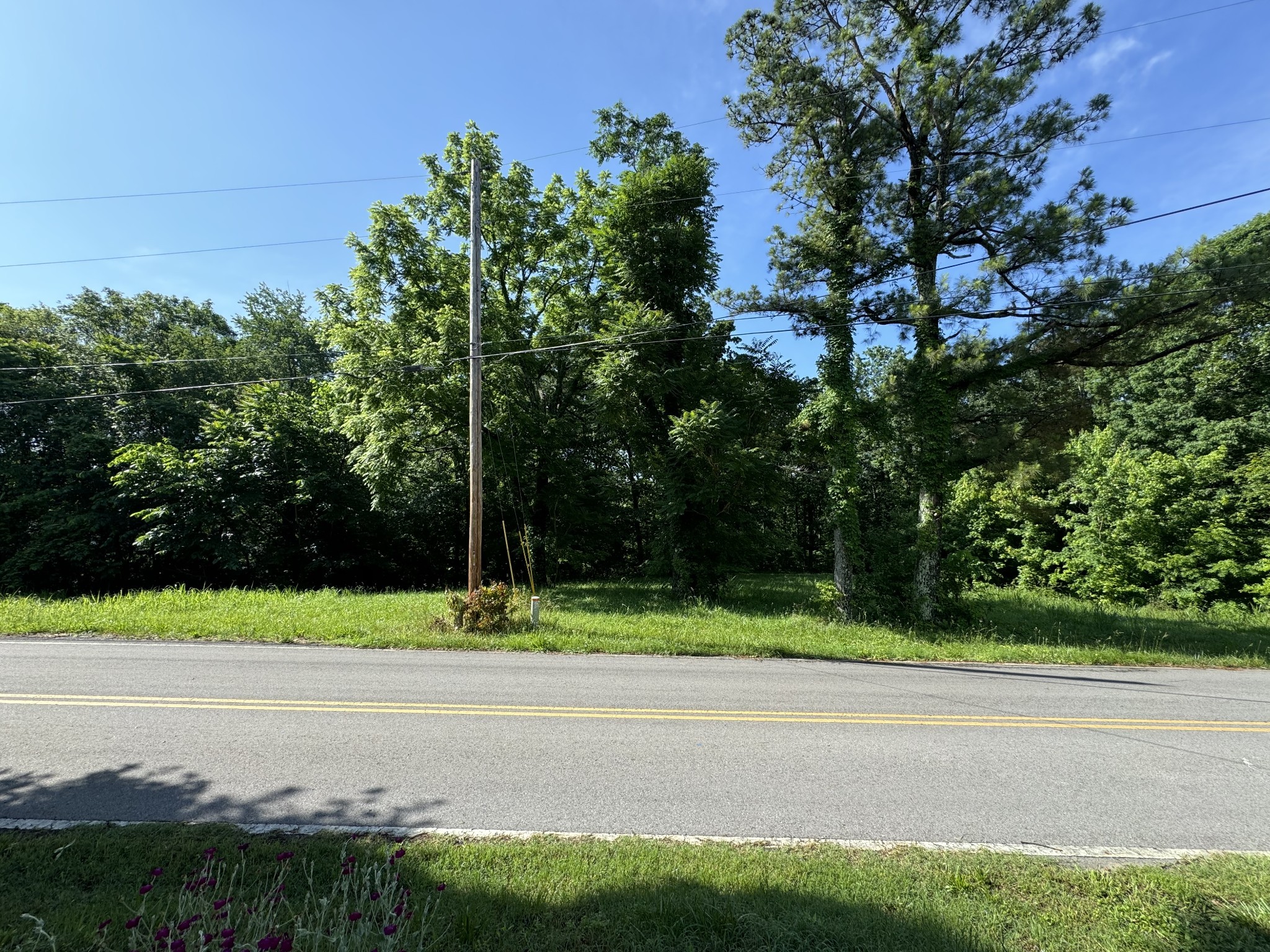 0 Mockingbird Hill Road Palmyra, TN 37142 - Photo 3 of 7