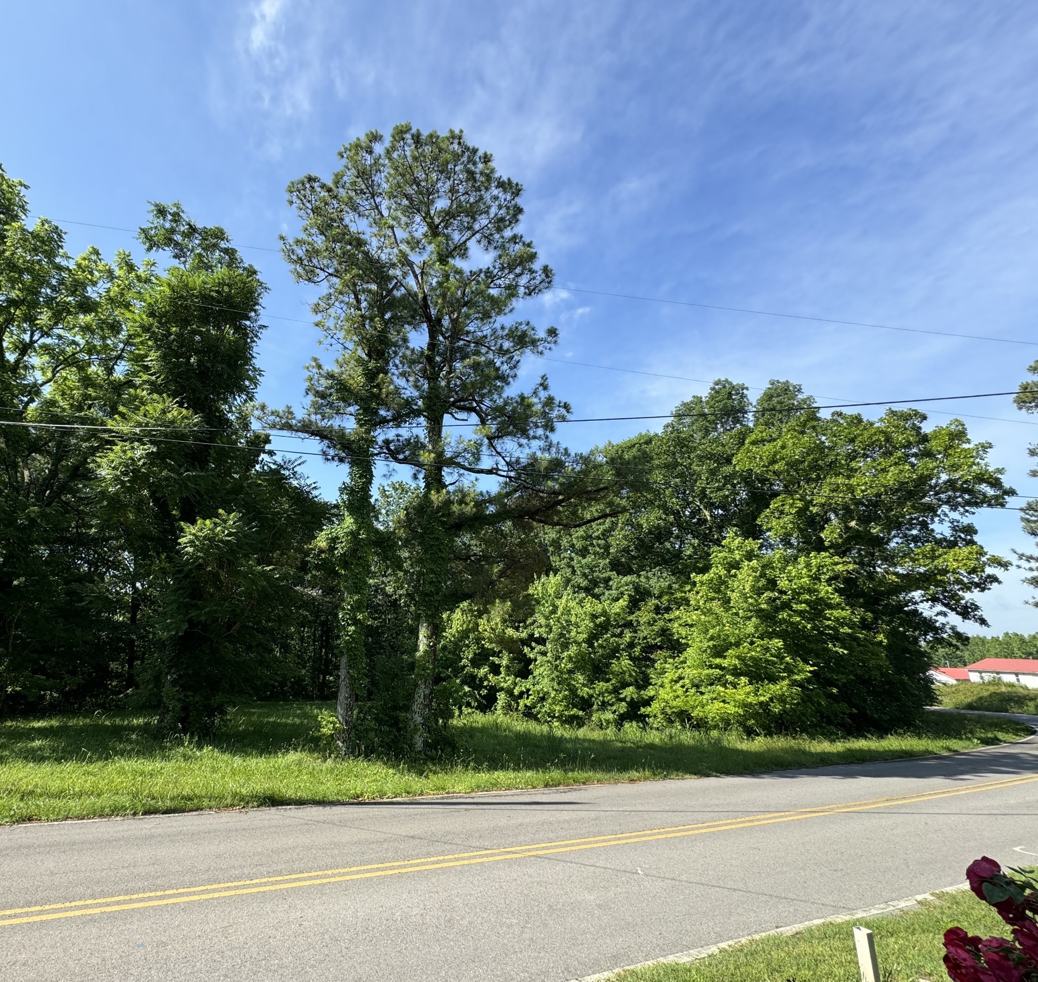 0 Mockingbird Hill Road Palmyra, TN 37142 - Photo 4 of 7