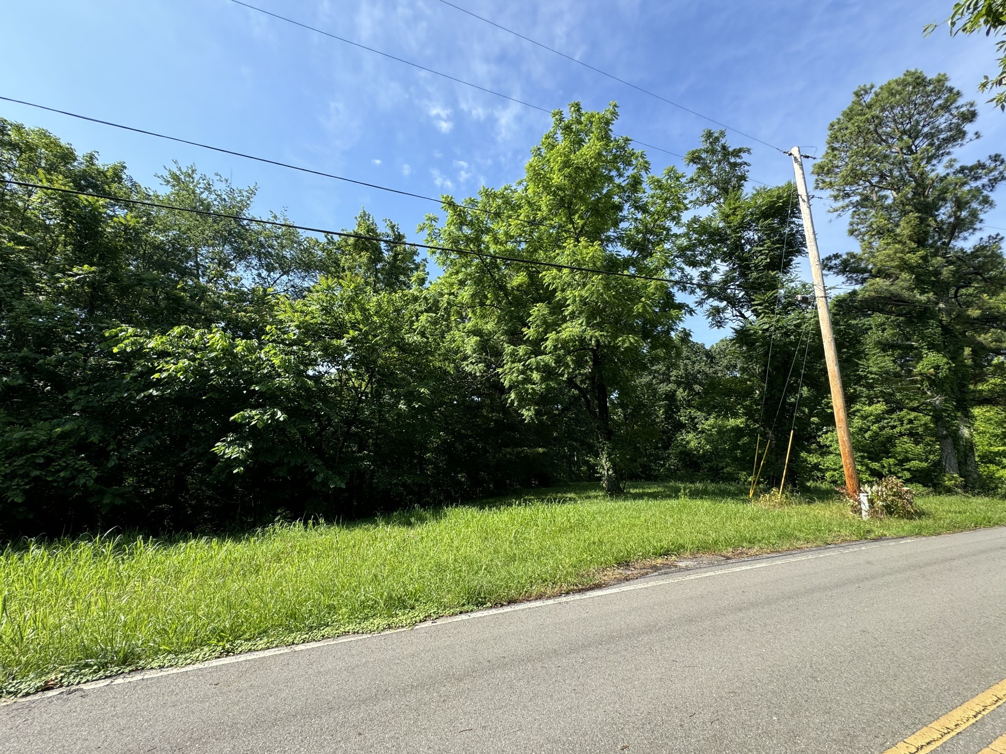 0 Mockingbird Hill Road Palmyra, TN 37142 - Photo 5 of 7