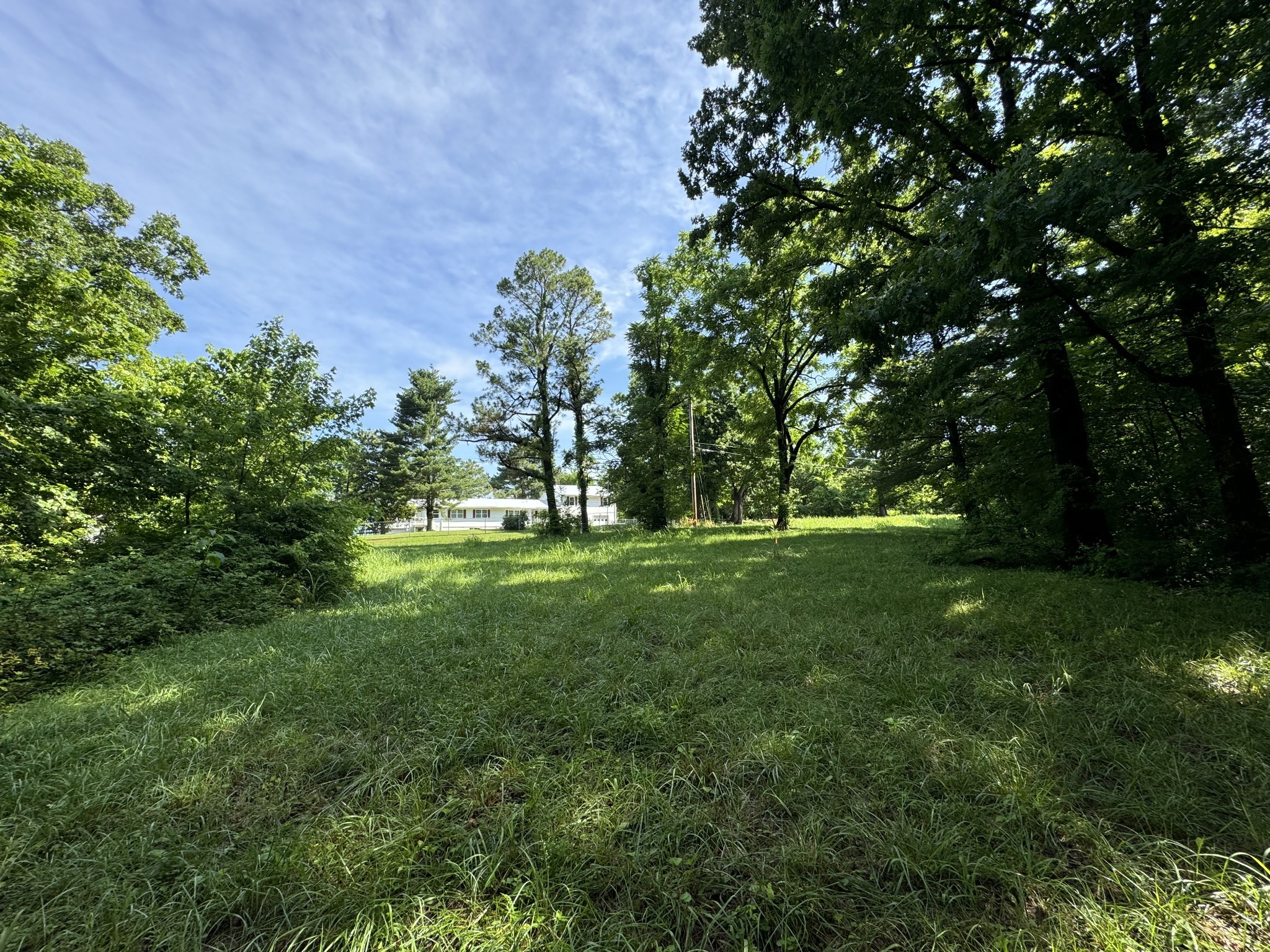 0 Mockingbird Hill Road Palmyra, TN 37142 - Photo 6 of 7