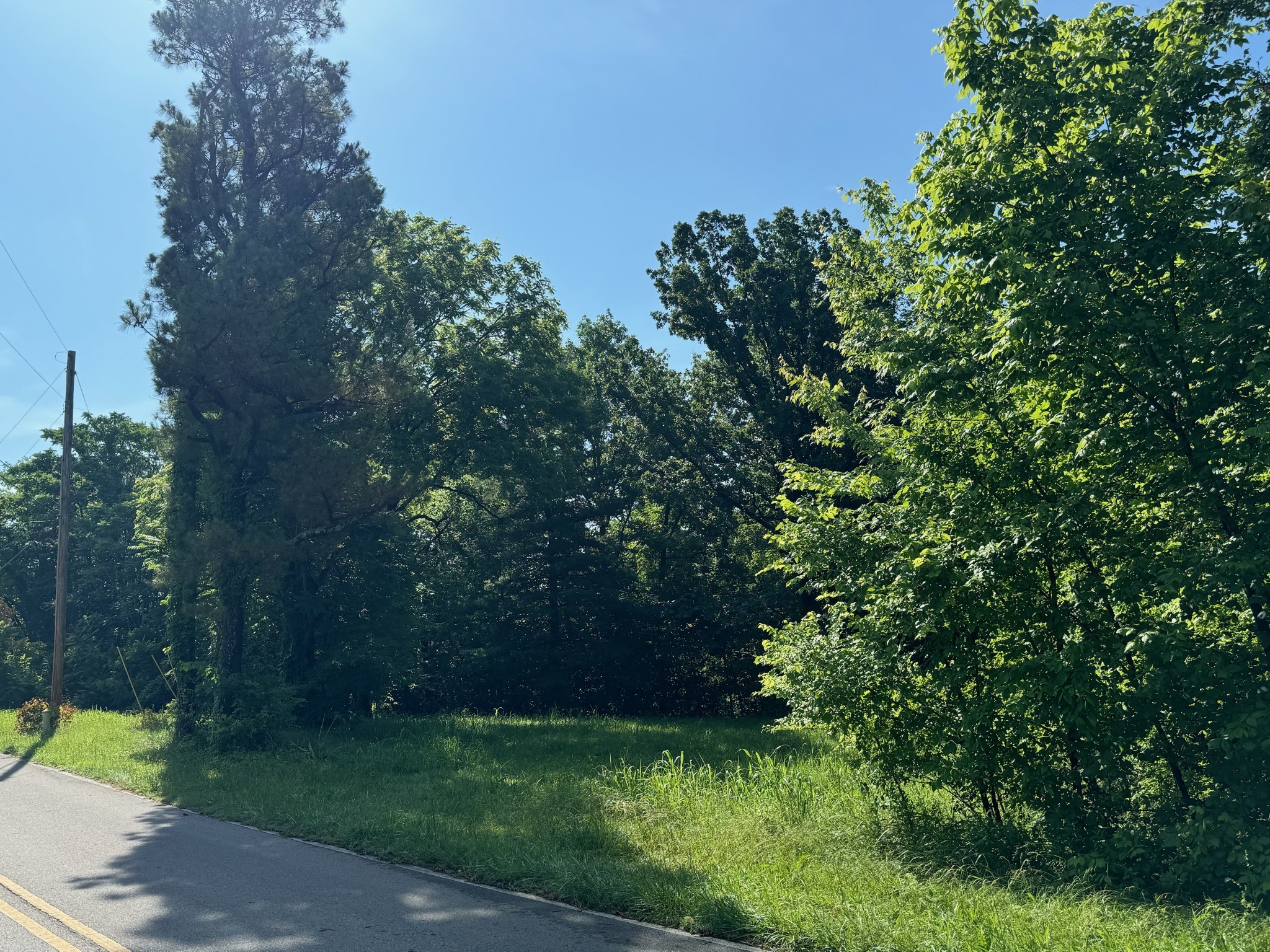 0 Mockingbird Hill Road Palmyra, TN 37142 - Photo 7 of 7