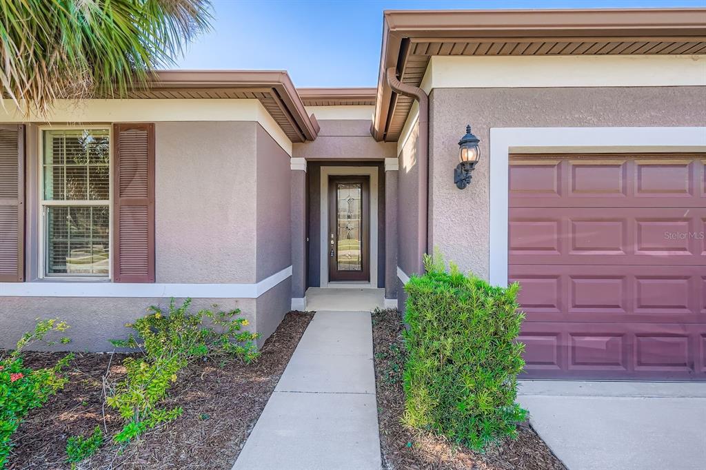 16355 Treasure Point Drive Wimauma, FL 33598 - Photo 5 of 28 a front view of a house with a yard