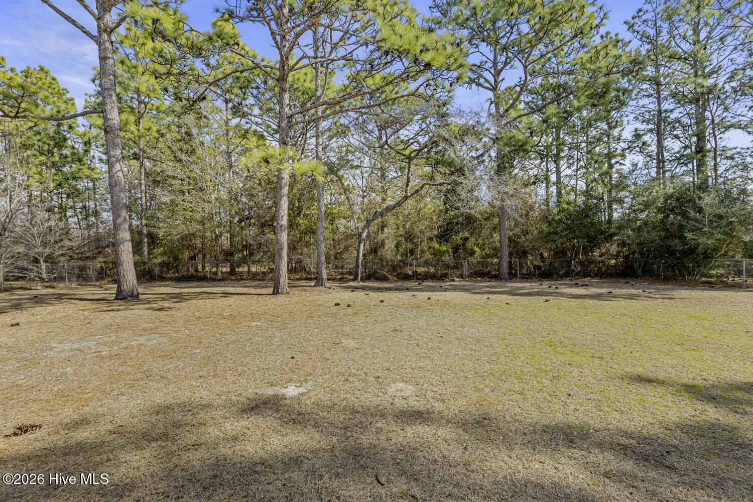 549 Sand Ridge Road Hubert, NC 28539 - Photo 19 of 21 sandridge-19