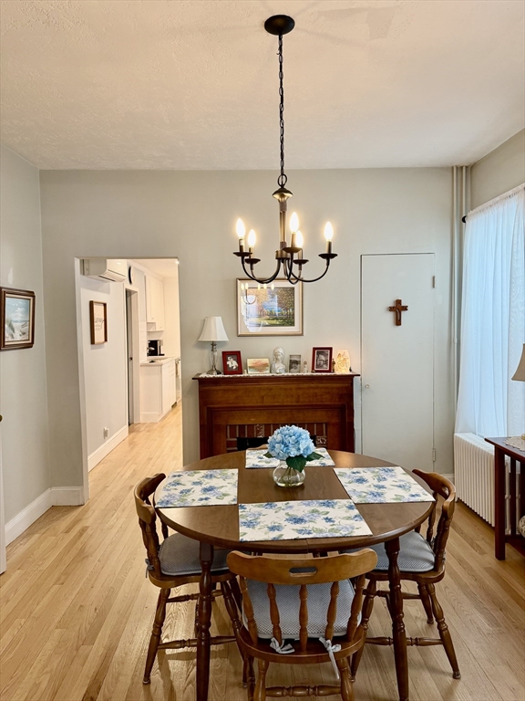176 M Street, Unit 1 Boston, MA 02127 - Photo 10 of 11 a view of a dining room with furniture and wooden floor