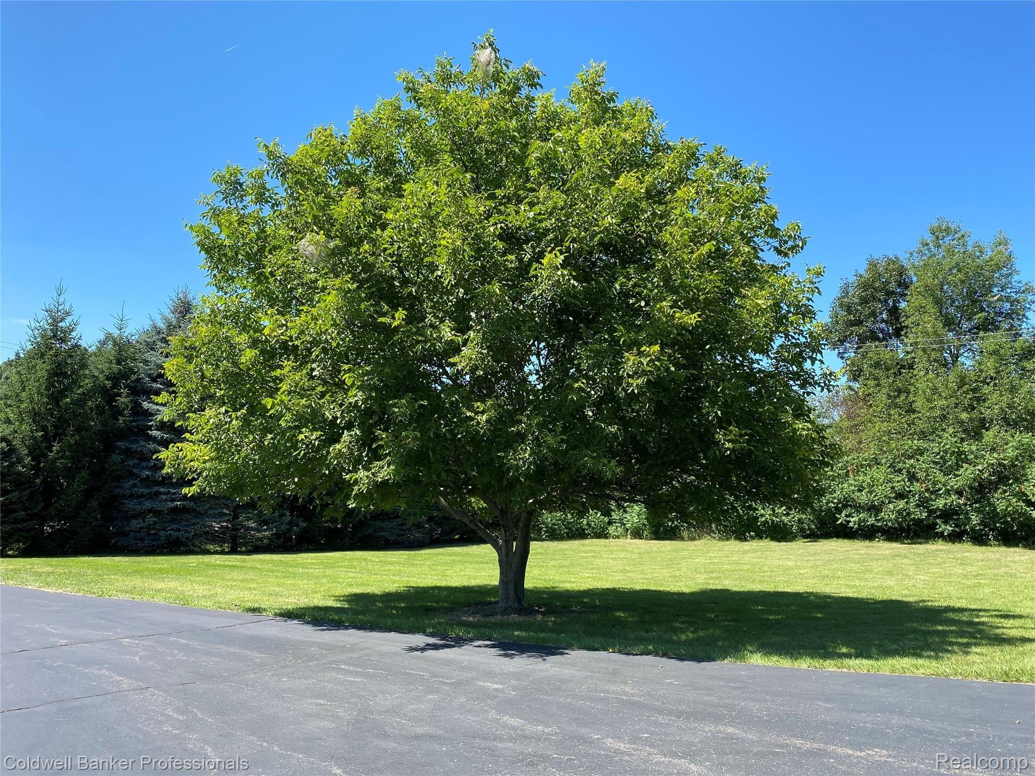 1250 North Elba Road Lapeer, MI 48446 - Photo 34 of 43 27153DC6-1B3A-4FAF-B7EC-9F4B7935687B.jpeg
