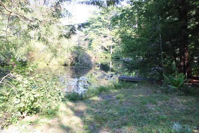 a backyard of a house with lots of green space and covered by trees