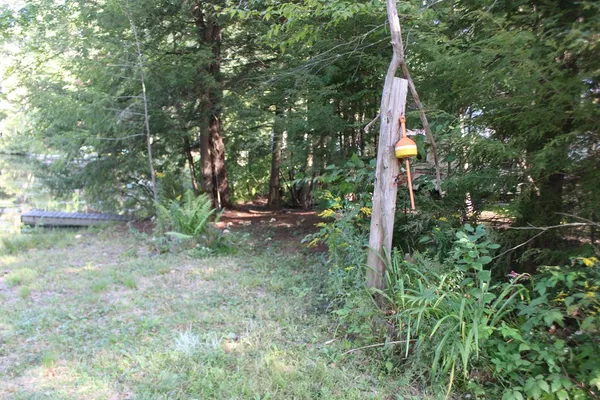 a view of outdoor space and garden