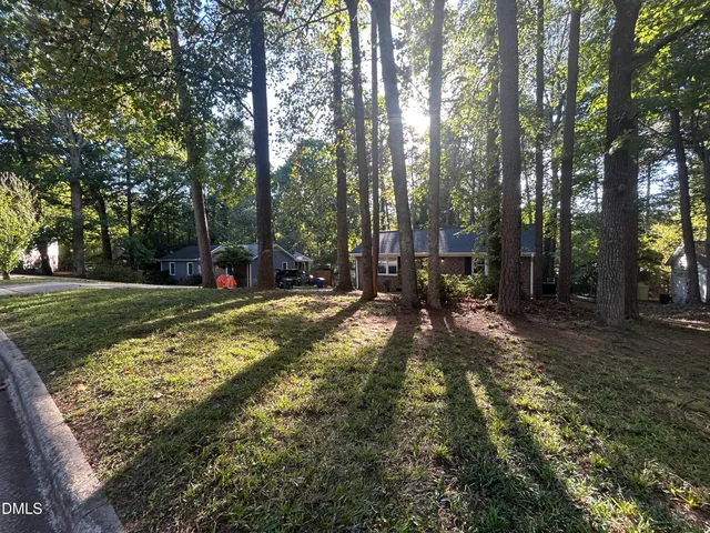 a view of a yard with plants and large trees