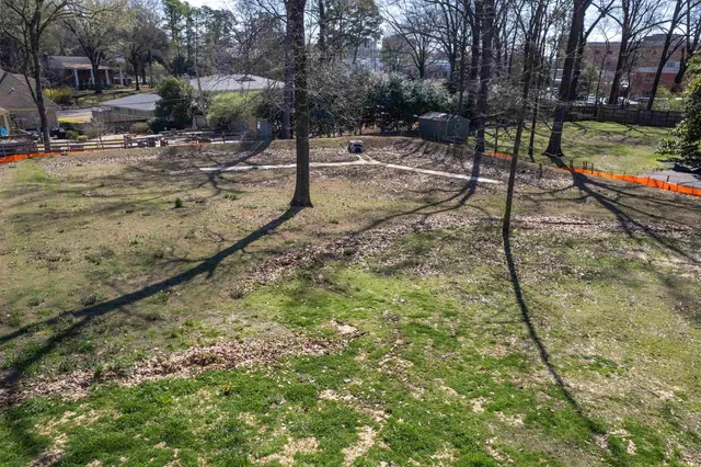 a view of a yard with a tree