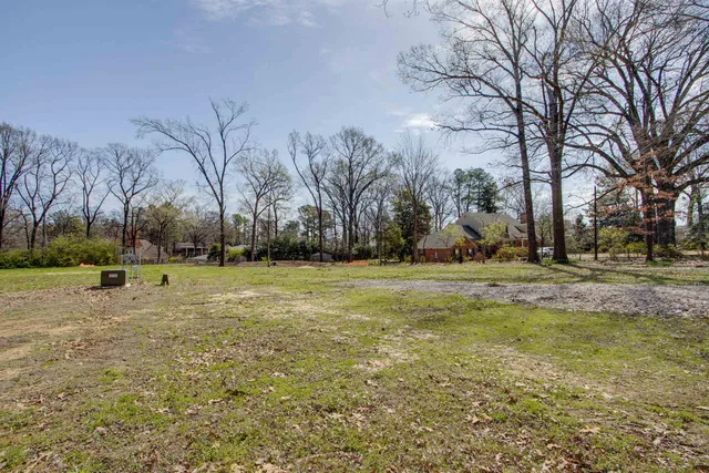 a view of big yard with large trees