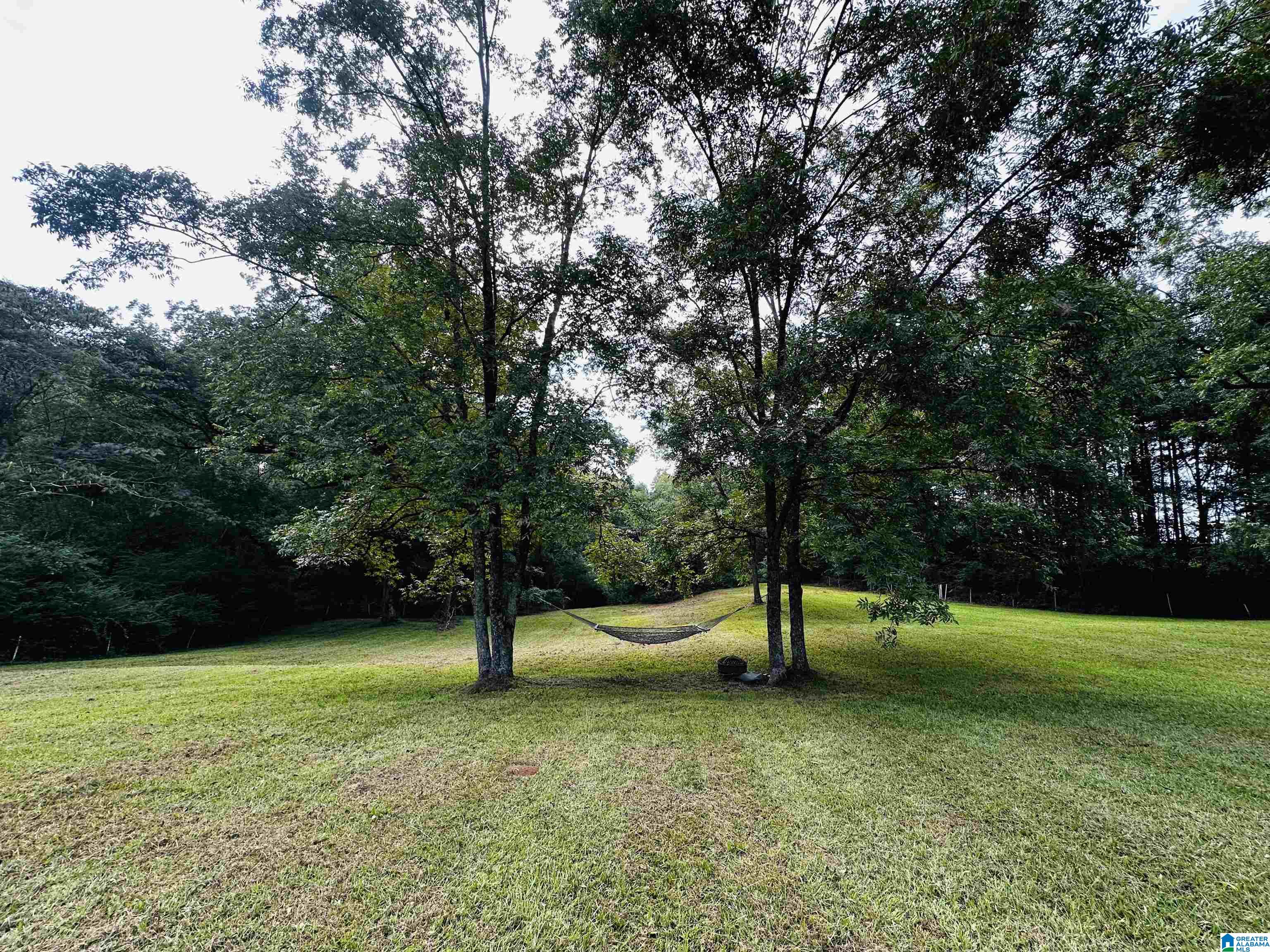 449 Knowles Avenue Lineville, AL 36266 - Photo 10 of 44