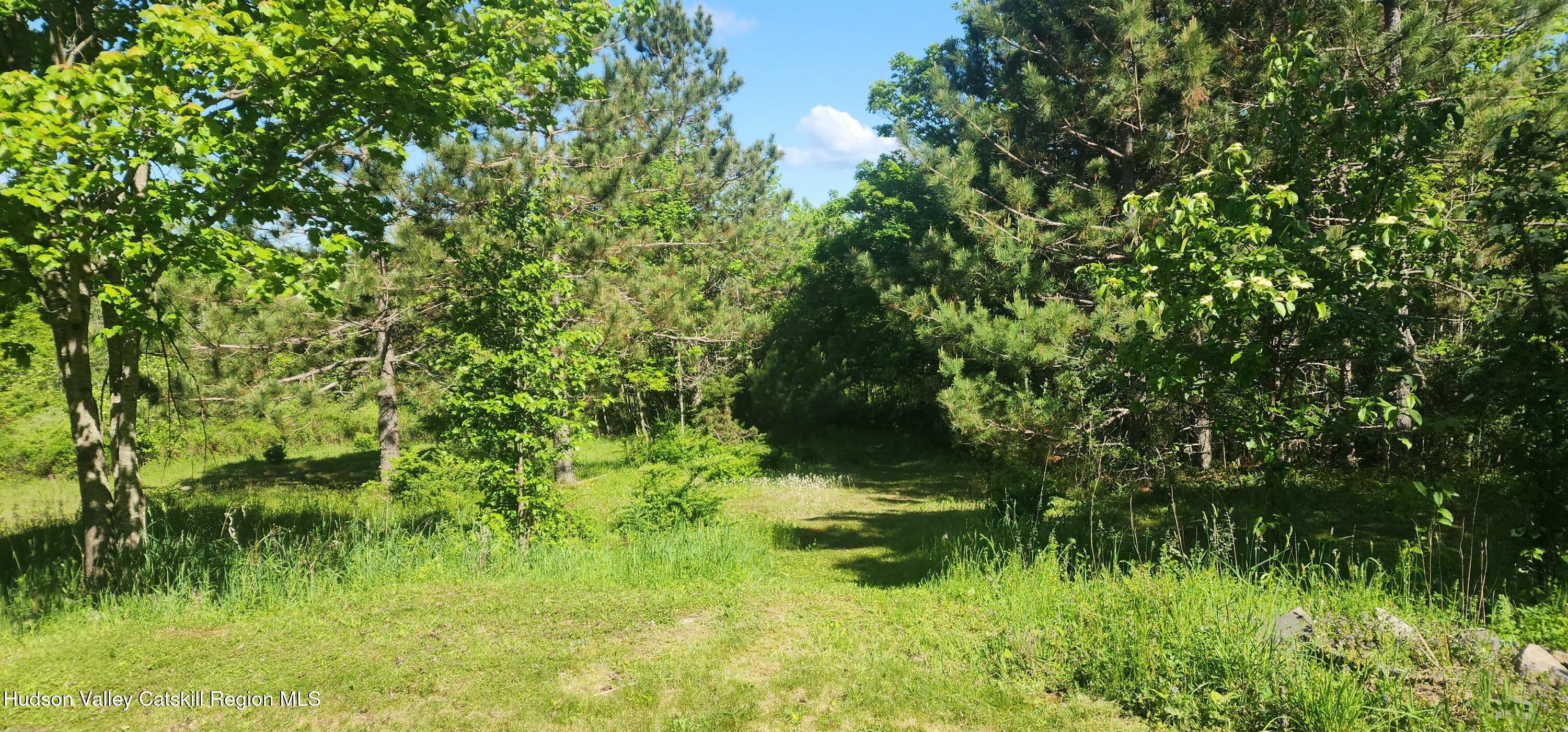 143 Pond View Road Gilboa, NY 12076 - Photo 16 of 18 20260529_094324