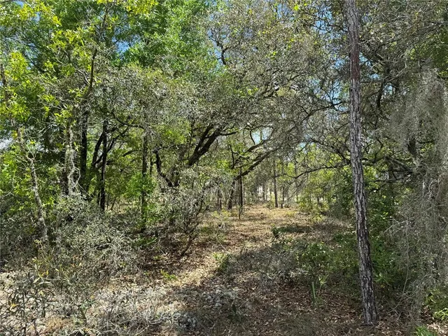 a view of outdoor space and trees