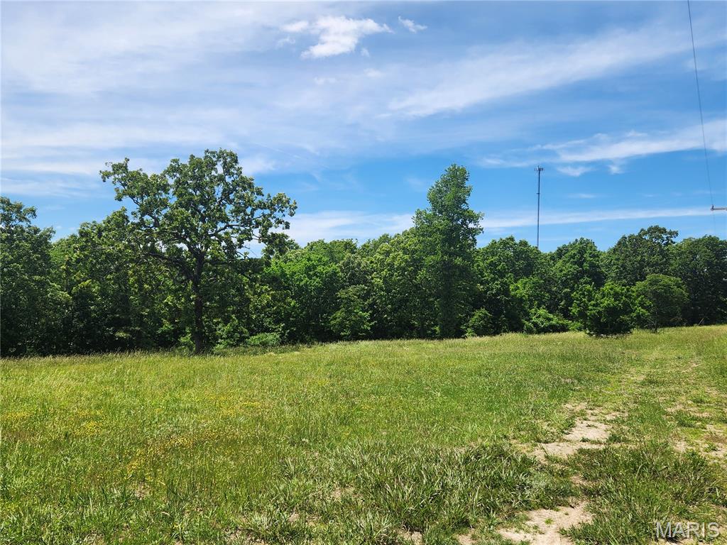 30620 Harbor Road Richland, MO 65556 - Photo 28 of 42