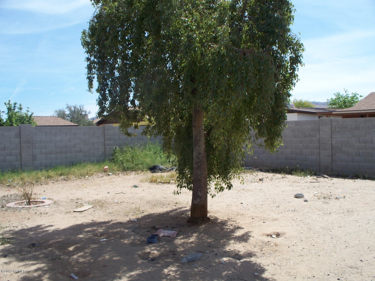 1537 West Carter Road Phoenix, AZ 85041 - Photo 5 of 6 Rear Yard