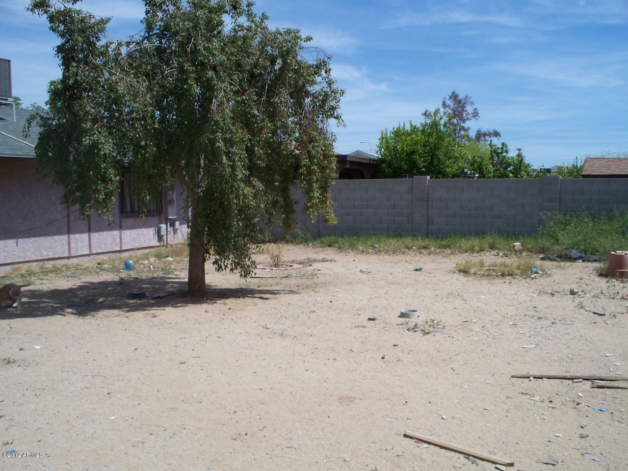 1537 West Carter Road Phoenix, AZ 85041 - Photo 6 of 6 Rear Yard 2