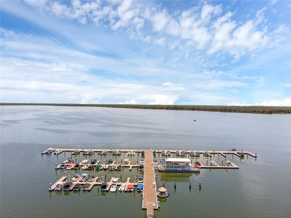 East Maud Street Tavares, FL 32778 - Photo 30 of 30