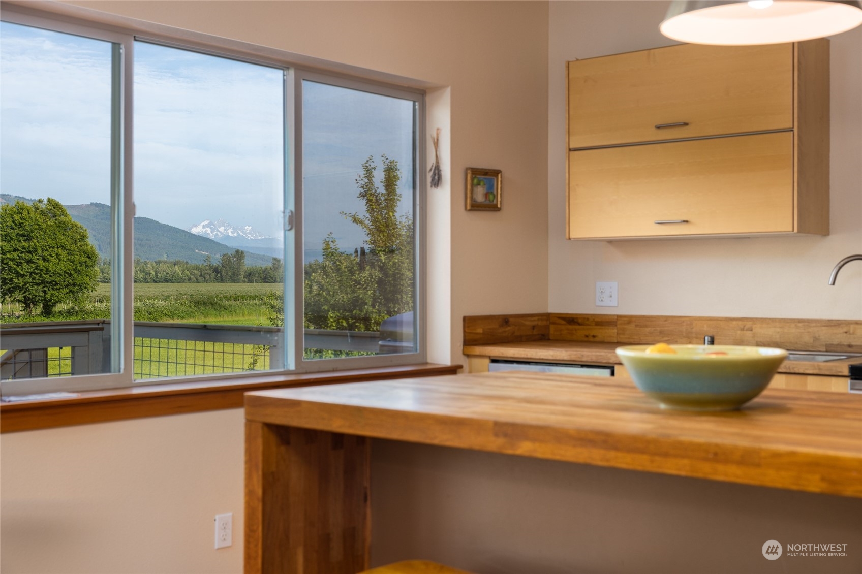 908 Mission Road Everson, WA 98247 - Photo 21 of 40 a living room with a table and a potted plant