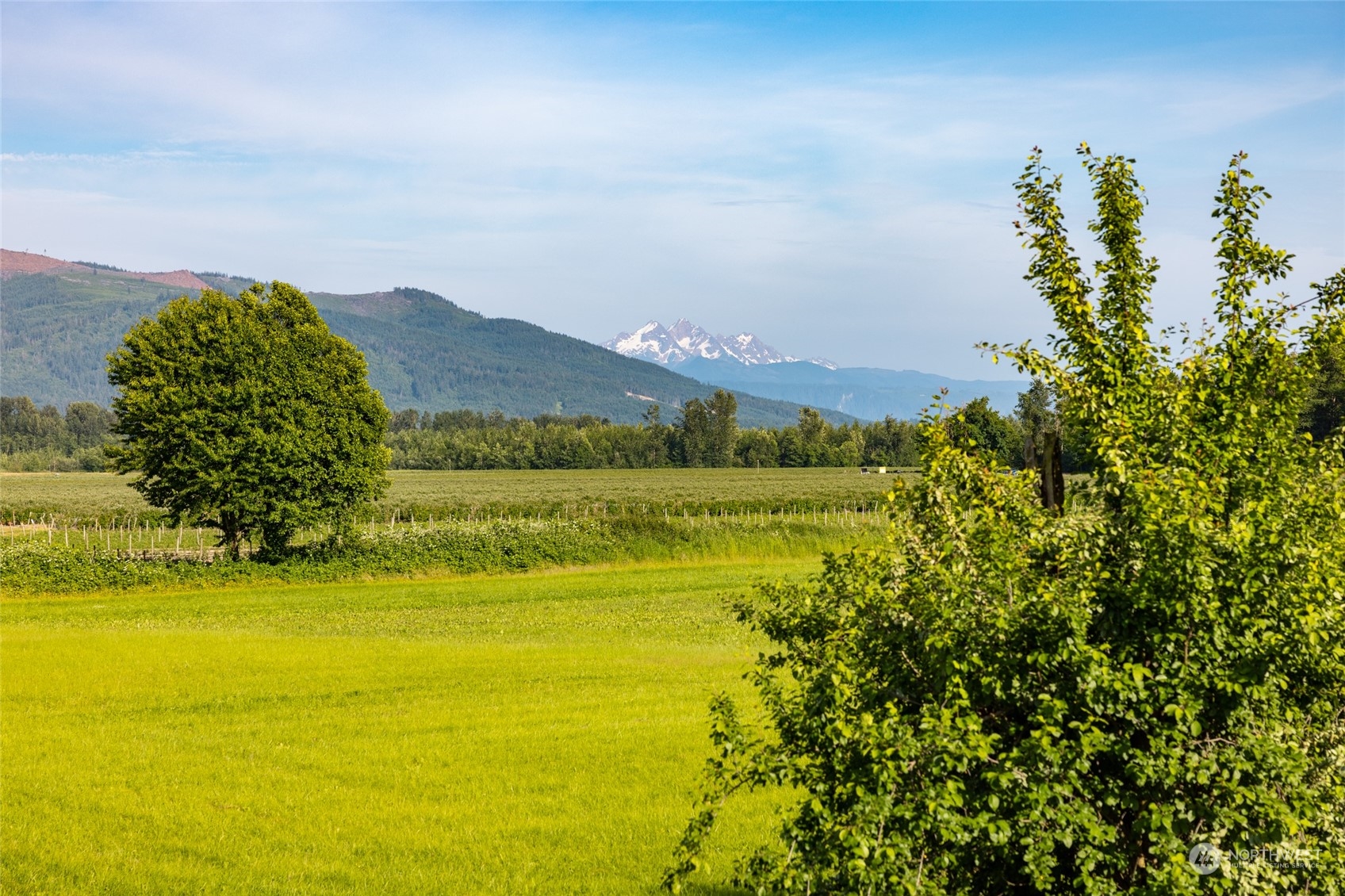908 Mission Road Everson, WA 98247 - Photo 37 of 40 a view of a lake with a mountain in the background