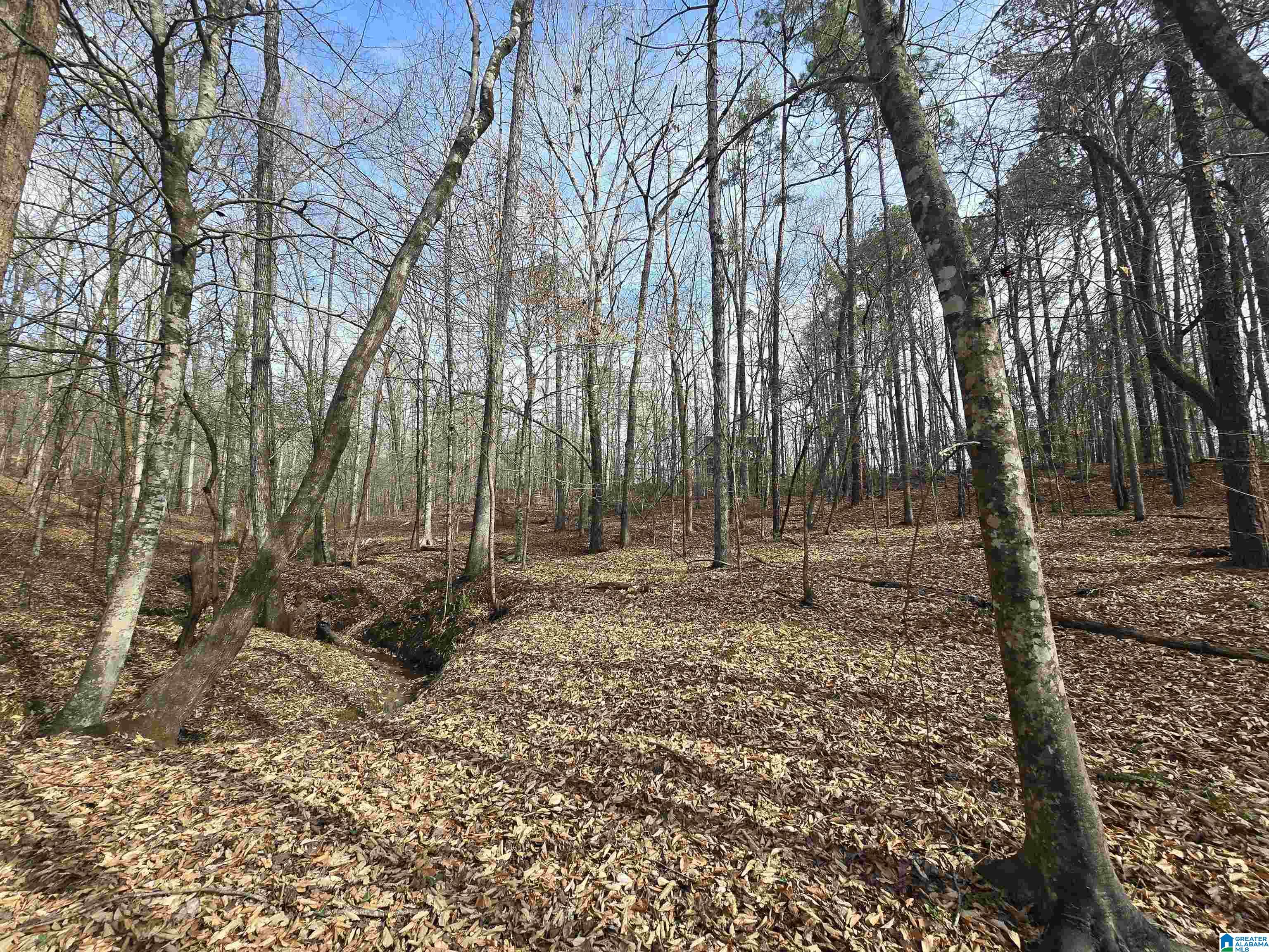 354 Springwell Road Rockford, AL 35136 - Photo 16 of 68
