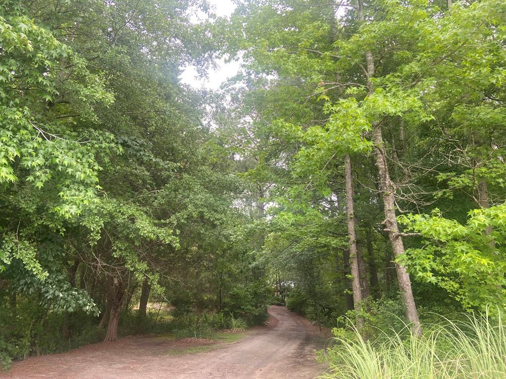 840 Stroman Road Lynchburg, SC 29080 - Photo 3 of 4 Gallery Image 3