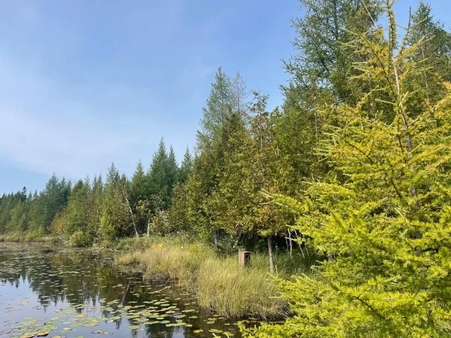 $119,900 | 14463 Angel Crest Lane, Lakewood, WI 54138