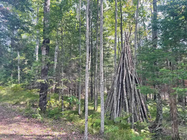 $119,900 | 14463 Angel Crest Lane, Lakewood, WI 54138