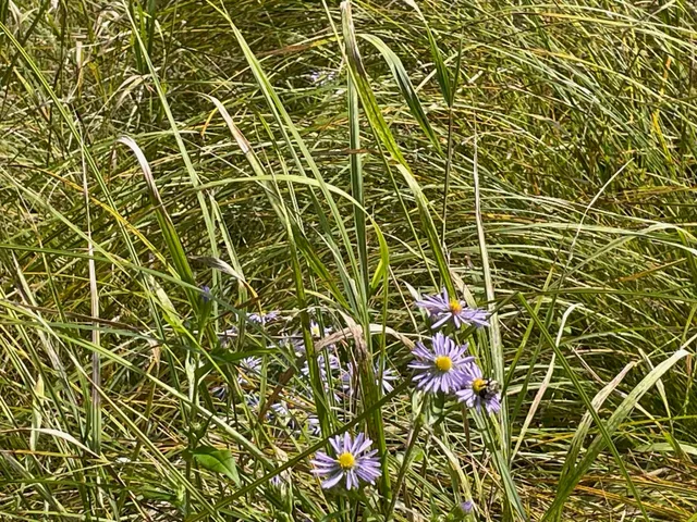 $119,900 | 14463 Angel Crest Lane, Lakewood, WI 54138