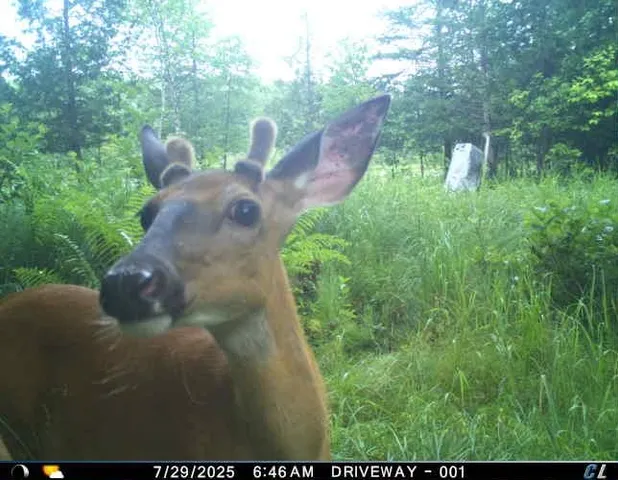 $119,900 | 14463 Angel Crest Lane, Lakewood, WI 54138