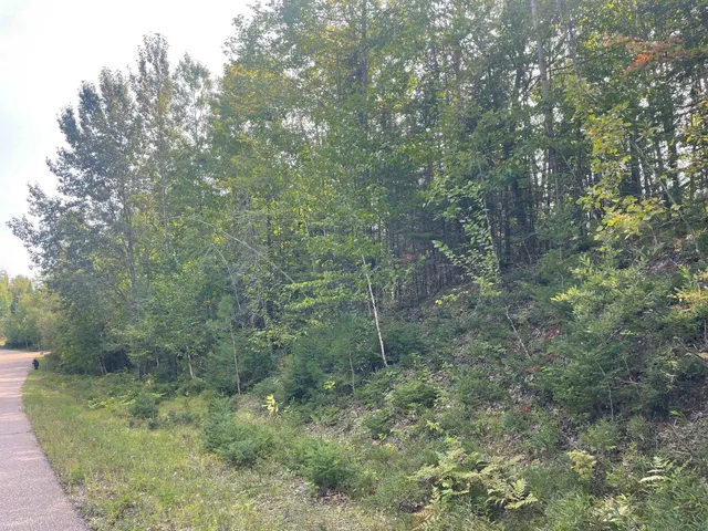 $119,900 | 14463 Angel Crest Lane, Lakewood, WI 54138